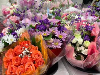 Grocery Outlet Bargain Market, Flowers