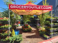 Grocery Outlet Bargain Market photo