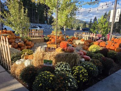 Grocery Outlet Bargain Market photo